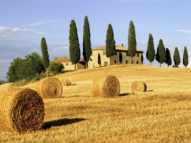 Unknown Artist Tuscany